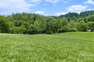 245 Corbett McNeil Rd, Boone, NC 28607 - Photo 28