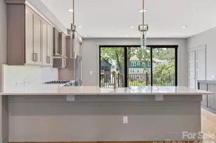 229 Broadway St, Asheville, NC 28801 - Photo 4