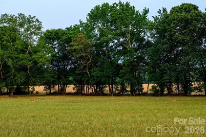 6917 Walnut Grove Church Road, Hurdle Mills, NC 27541 - Photo 18