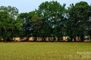6917 Walnut Grove Church Rd, Hurdle Mills, NC 27541 - Photo 18
