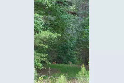 6917 Walnut Grove Church Road, Hurdle Mills, NC 27541 - Photo 30