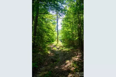 6917 Walnut Grove Church Road, Hurdle Mills, NC 27541 - Photo 24