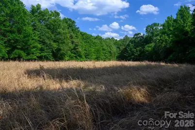 6917 Walnut Grove Church Road, Hurdle Mills, NC 27541 - Photo 26