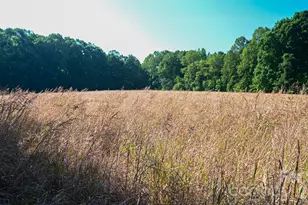 6917 Walnut Grove Church Rd, Hurdle Mills, NC 27541 - Photo 32
