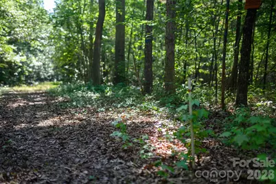 6917 Walnut Grove Church Road, Hurdle Mills, NC 27541 - Photo 36