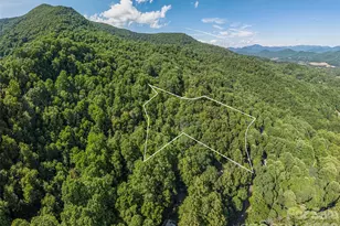 1575 Red Maple Dr, Waynesville, NC 28785 - Photo 36