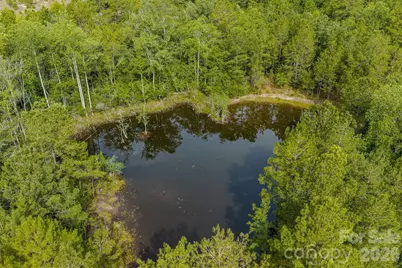 0 Hwy 1 Highway, Patrick, SC 29584 - Photo 14
