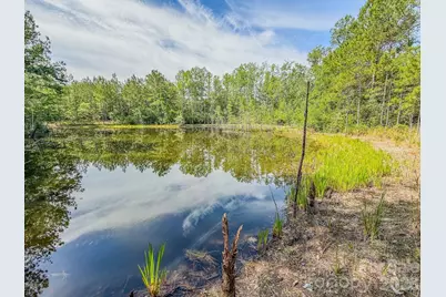 0 Hwy 1 Highway, Patrick, SC 29584 - Photo 4