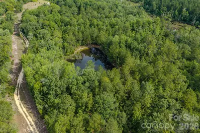0 Hwy 1 Highway, Patrick, SC 29584 - Photo 2