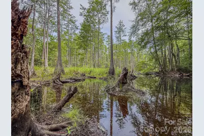 0 Hwy 1 Highway, Patrick, SC 29584 - Photo 22