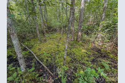0 Hwy 1 Highway, Patrick, SC 29584 - Photo 6