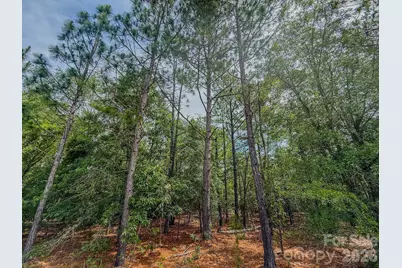 0 Hwy 1 Highway, Patrick, SC 29584 - Photo 16