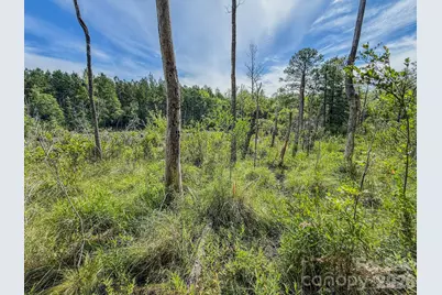 0 Hwy 1 Highway, Patrick, SC 29584 - Photo 12
