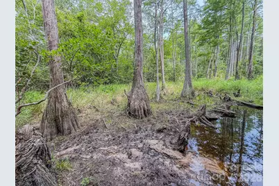 0 Hwy 1 Highway, Patrick, SC 29584 - Photo 24