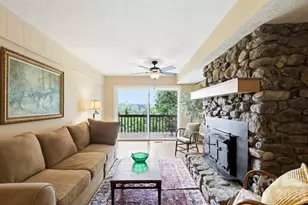 16 Audubon Dr, Asheville, NC 28804 - Photo 34