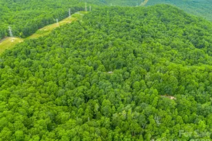 707 Cascade Trail, Pisgah Forest, NC 28768 - Photo 46