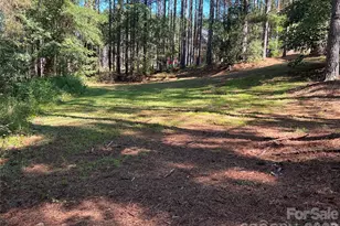 651 Dills Rd, Rutherfordton, NC 28139 - Photo 32