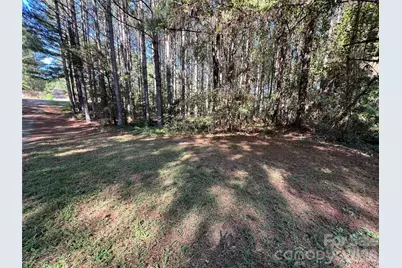 651 Dills Road, Rutherfordton, NC 28139 - Photo 34