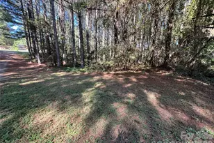 651 Dills Rd, Rutherfordton, NC 28139 - Photo 34