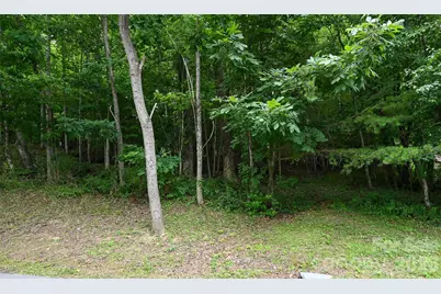 77 Carriage West Drive, Hendersonville, NC 28791 - Photo 4