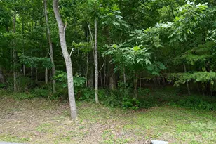 77 Carriage W Dr, Hendersonville, NC 28791 - Photo 4