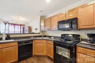 10618 Pointed Leaf Ct, Charlotte, NC 28213 - Photo 6