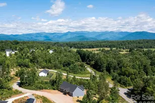 105 S Vineyard Vlg Dr, Old Fort, NC 28762 - Photo 2