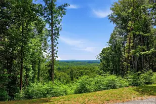 1288 Johns Ridge Pkwy, Lenoir, NC 28645 - Photo 22