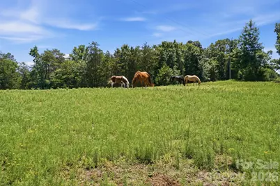 5835 Kreps Road, Clover, SC 29710 - Photo 14