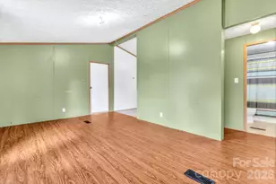 12 Green Cove Ln, Alexander, NC 28701 - Photo 4