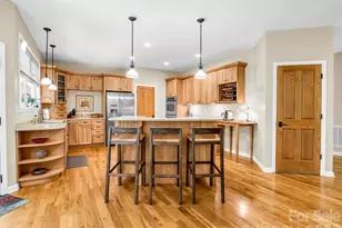 131 Arcadia Fls Wy, Black Mountain, NC 28711 - Photo 10