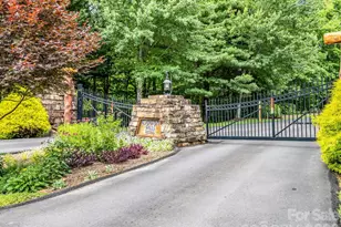 131 Arcadia Fls Wy, Black Mountain, NC 28711 - Photo 48