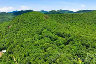 3819 Flat Mountain Rd, Highlands, NC 28741 - Photo 48
