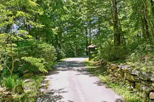 3819 Flat Mountain Rd, Highlands, NC 28741 - Photo 2