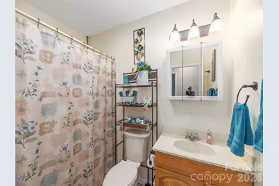 219 Hookers Gap Road, Candler, NC 28715 - Photo 16