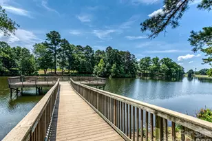 31476 Royal Tern Ln, Indian Land, SC 29707 - Photo 48