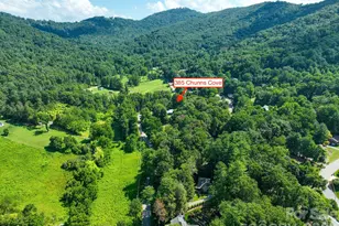 385 Chunns Cove Rd, Asheville, NC 28805 - Photo 28