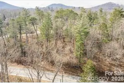 Tbd Ball Gap Road, Arden, NC 28704 - Photo 2