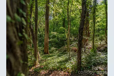 103 Aurora Drive #2, Asheville, NC 28805 - Photo 16