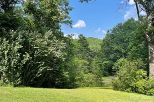 39 Lambert Ln, Black Mountain, NC 28711 - Photo 42