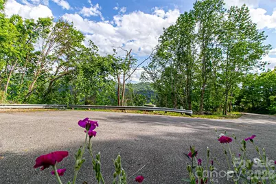 99999 Black Oak Drive #13, Asheville, NC 28804 - Photo 2