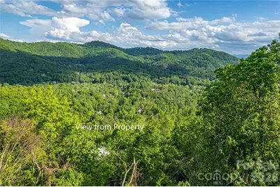 99999 Black Oak Drive #13, Asheville, NC 28804 - Photo 6
