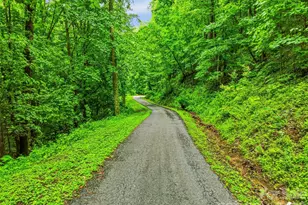 961 Wilson Branch Rd, Mars Hill, NC 28754 - Photo 38