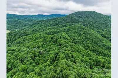 961 Wilson Branch Road, Mars Hill, NC 28754 - Photo 18