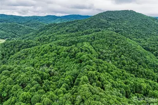 961 Wilson Branch Rd, Mars Hill, NC 28754 - Photo 18