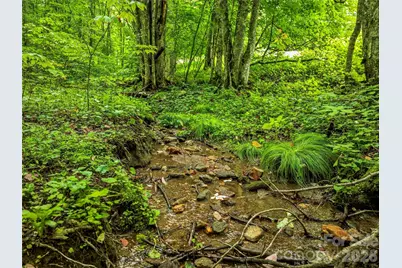 961 Wilson Branch Road, Mars Hill, NC 28754 - Photo 34