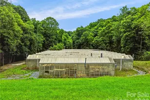 961 Wilson Branch Rd, Mars Hill, NC 28754 - Photo 14
