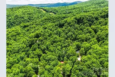 785 Pisgah Forest Drive, Pisgah Forest, NC 28768 - Photo 48