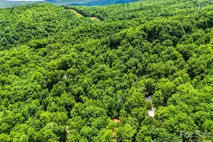 785 Pisgah Forest Dr, Pisgah Forest, NC 28768 - Photo 48