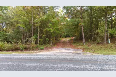 0 Steen Road, Mount Croghan, SC 29727 - Photo 8